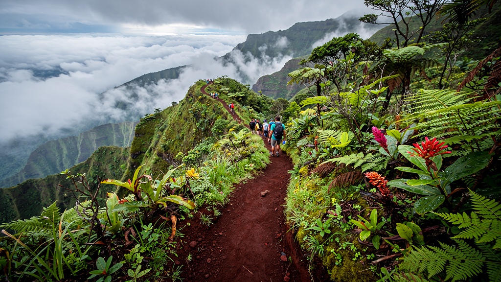 Hikers on a ridge trail through Hawaiian rainforest